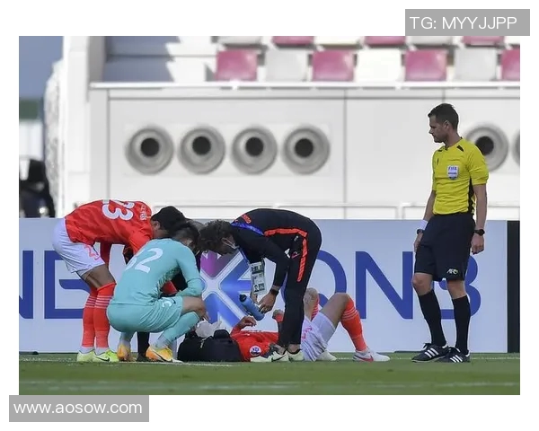 2015年恒大与城南对决回顾:激情四溢的亚冠赛场之战 2015年恒大与城南对决回顾:激情四溢的亚冠赛场之战