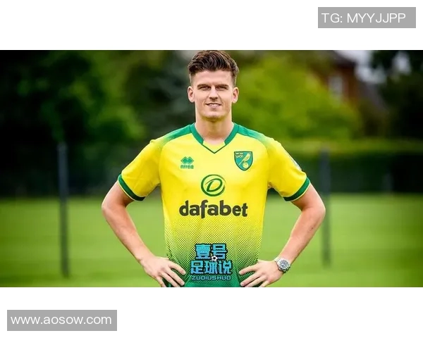 2019年曼联与诺维奇精彩对决录像回顾与分析