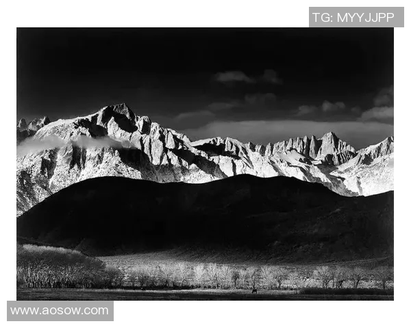 亚当斯的传奇人生与影响力探究：从历史到现代的深远启示